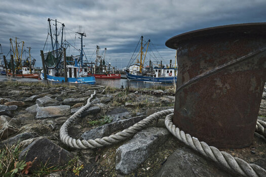 Hafen.jpg