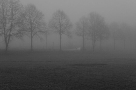 Nebel.jpg