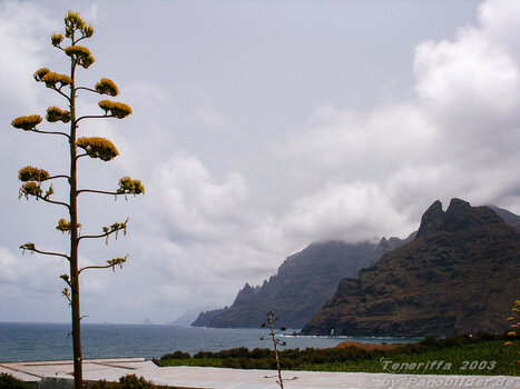 PICT3179.jpg