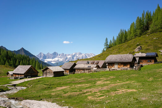 DSC04153-1.jpg