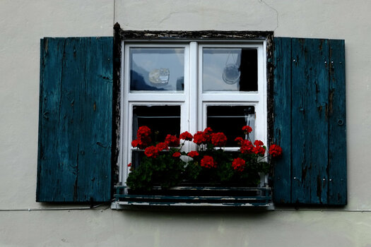 Fenster.jpg