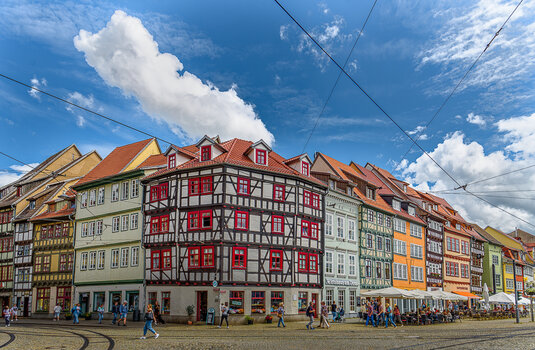 750_1036_DxO.JPG