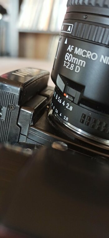 IMG_20210722_160146.jpg IMG_20210722_160146.jpg