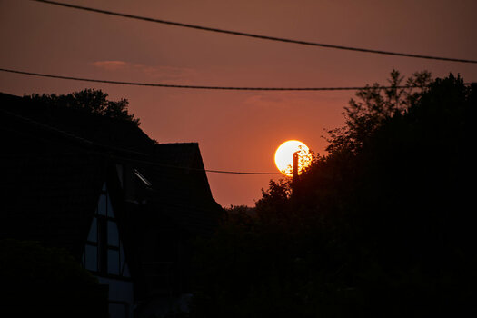 D80_8678.jpg