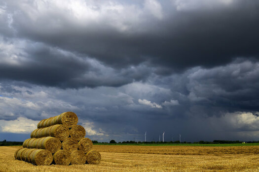 _DSC0042_00001.jpg