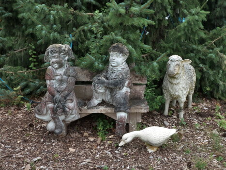 P1010044.jpg