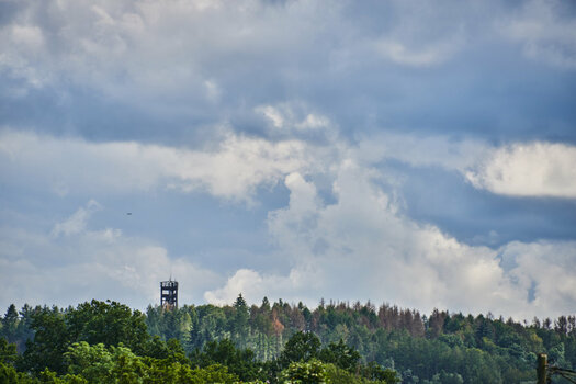 Aussichtsturm.jpg