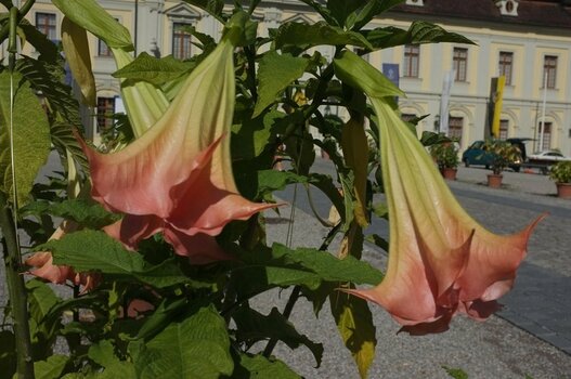 2021-08-02_10-00-44.jpg