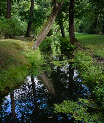 750_1740.JPG