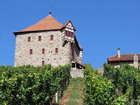 2021-08-07_09-03-45.jpg
