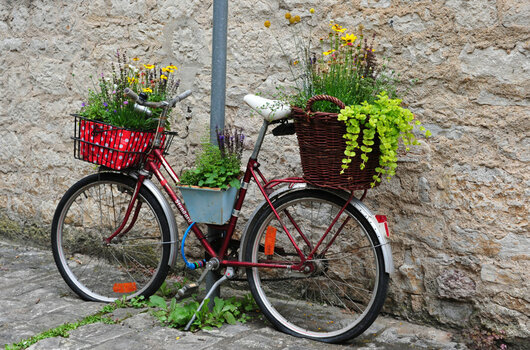 Bike_00001.jpg