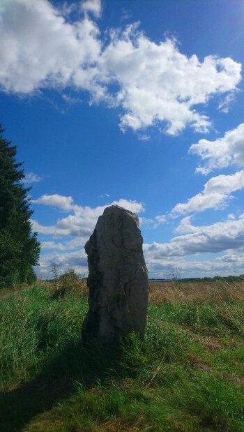 _20210808_230123.JPG