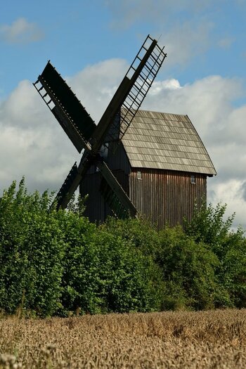 DSC_2263_00001n.jpg