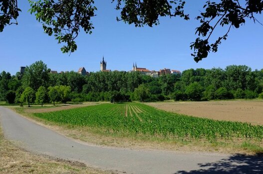 2021-08-11_09-27-11.jpg