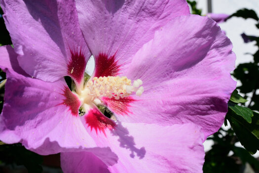 Aug15_0021.jpg