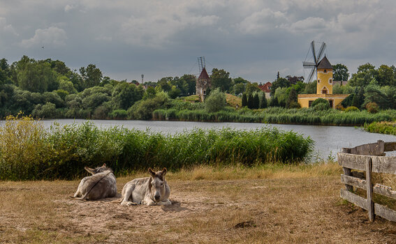 750_2121.JPG