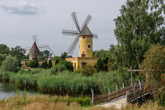 750_1924.JPG
