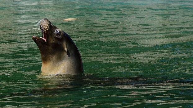 _DSC0045_00001_00001.jpg
