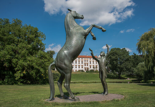 750_2192-Bearbeitet.JPG