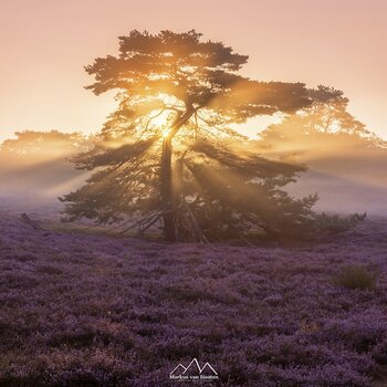 Bild: Landschaftsfotografie © Markus van Hauten Bild: Landschaftsfotografie © Markus van Hauten