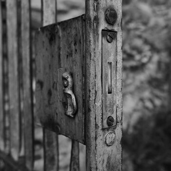 P1040317n.JPG