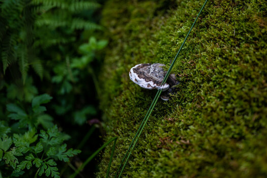 F40F12_Z7-7596.jpg