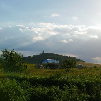 P1000517n.JPG