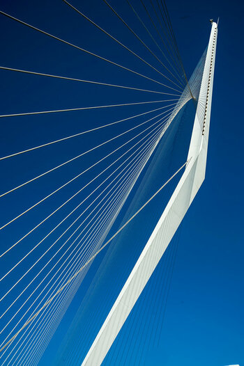 _7012013.jpg