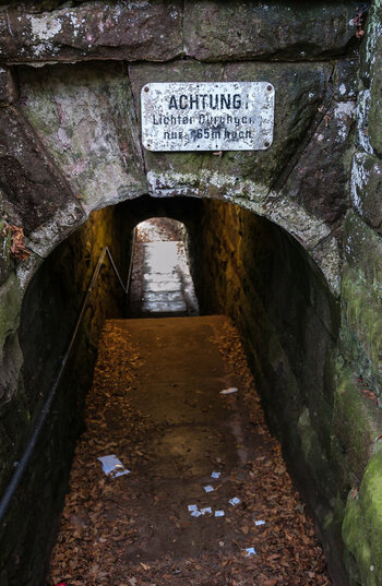 DSC_4463.jpg