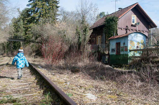 _D354915.jpg