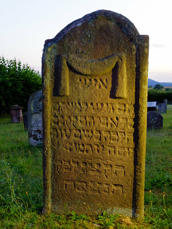 FX312065.jpg