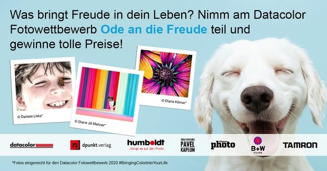 Grafik mit 3 Polaroids und lachendem weißen Hund sowie Schriftzug zum Datacolor Fotowettbewerb Ode an die Freude