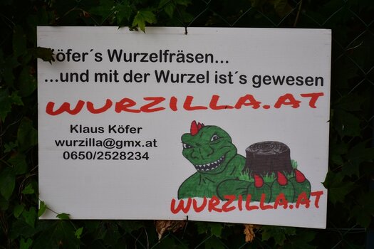 DSC_6308_klein.jpg