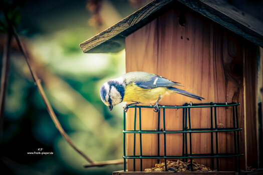 _DSC4757-Bearbeitet-Bearbeitet.jpg