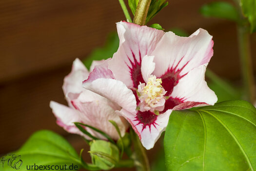 Sony-Test-2.jpg