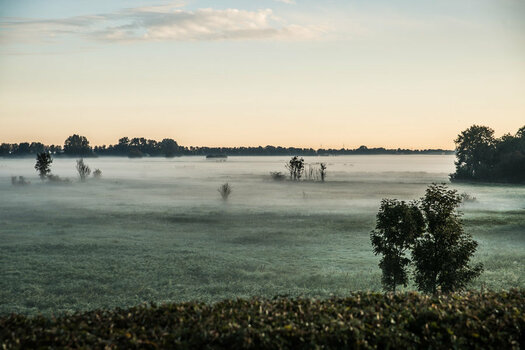 _DSC7786.jpg
