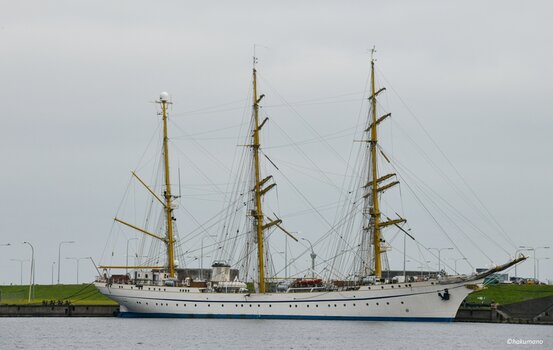 Gorch Fock (2).jpg