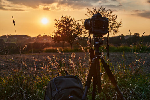 D800.jpg