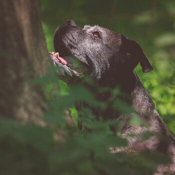 0109A89C-76B9-47F3-94AA-0961815D1E34.jpeg