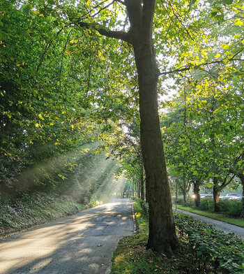 Sonnenaufgang_00001.jpg