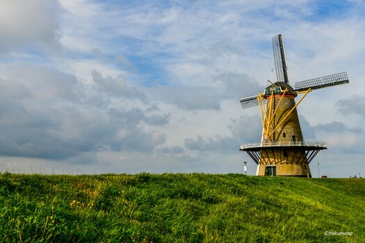 Vlissingen Mühle.jpg