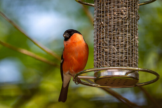_DSC6458.jpg