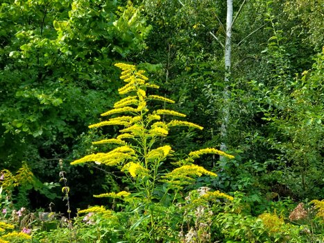 20210907_162543.jpg