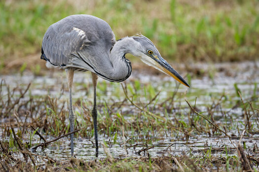 DSC_7056.jpg