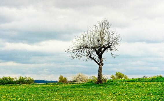 VG8_8899_on1_landscape.jpg