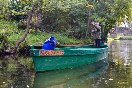 Krutinna 1.jpg