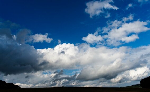 VG_500_2581_on1_landscape.jpg