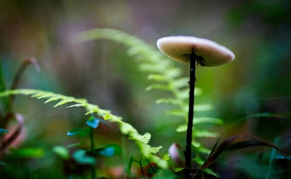 VG_850_7726_31-10-2020_on1_landscape.jpg