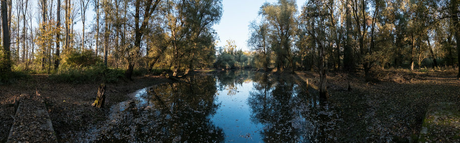 FX405222-Pano.jpg
