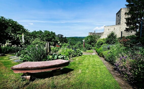 VG_850_1252_on1_landscape.jpg